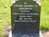 image of grave number 492966